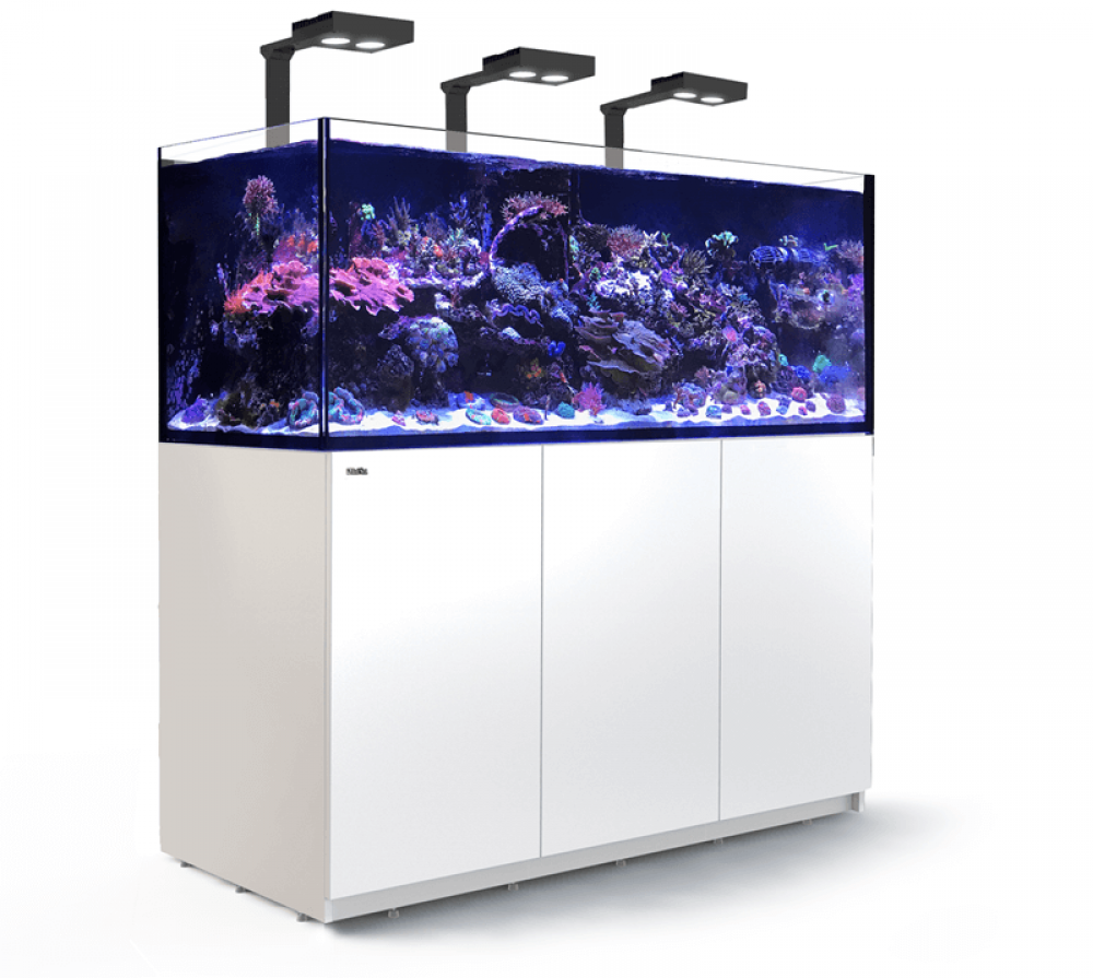 Red Sea Reefer XXL 625 DELUXE Meerwasseraquarium Komplettset Red Sea Reefer XXL 625 DELUXE Meerwasseraquarium Komplettset